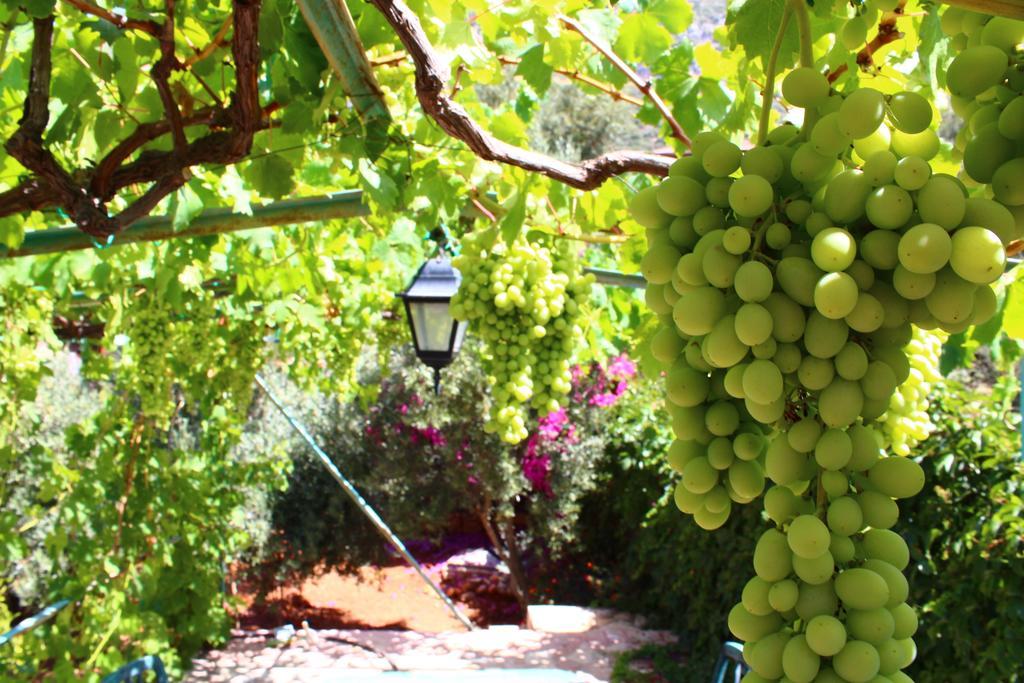 Villa Koknar Pension Kas Bagian luar foto