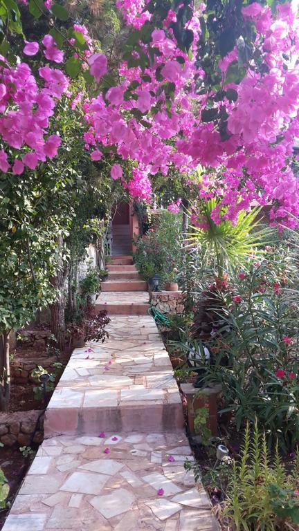 Villa Koknar Pension Kas Bagian luar foto